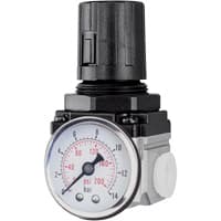 Air Regulator (Gauge Included), 1/4" NPT, 220 PSI Max. PSI, Modular